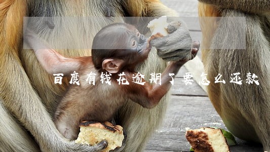 百度有钱花逾期了要怎么还款 百度有钱花逾期了要怎么还款