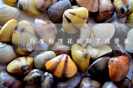 百度有钱花逾期了说要来我家取证 百度有钱花逾期了说要来我家取证