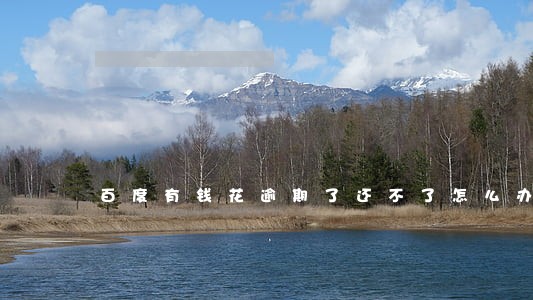 百度有钱花逾期了还不了怎么办 百度有钱花逾期了还不了怎么办