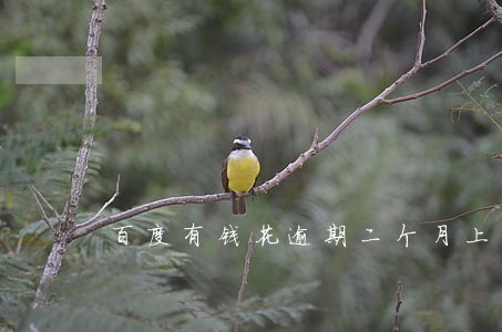 百度有钱花逾期二个月上门