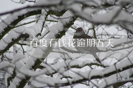 百度有钱花逾期五天 百度有钱花逾期五天
