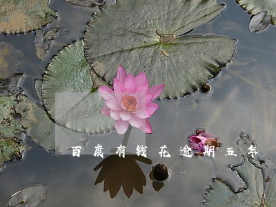 百度有钱花逾期五年 百度有钱花逾期五年