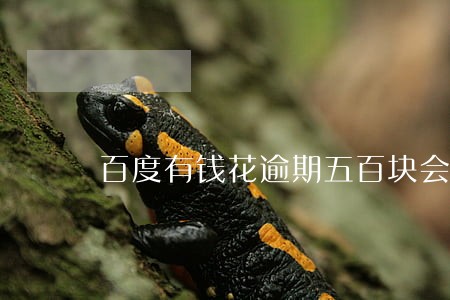 百度有钱花逾期五百块会被上诉吗 百度有钱花逾期五百块会被上诉吗