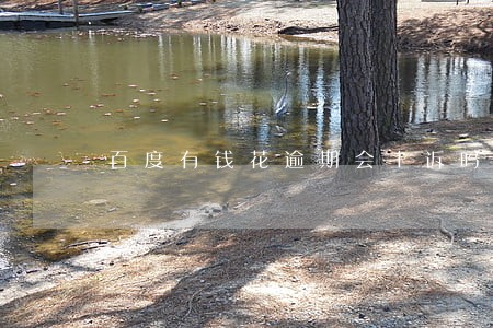 百度有钱花逾期会上诉吗 百度有钱花逾期会上诉吗