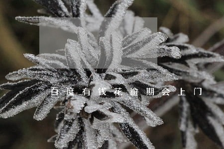百度有钱花逾期会上门