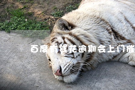 百度有钱花逾期会上门催收吗 百度有钱花逾期会上门催收吗