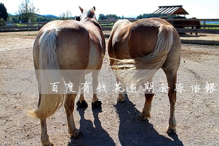 百度有钱花逾期会冻结银行卡吗 百度有钱花逾期会冻结银行卡吗