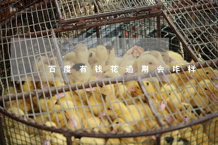 百度有钱花逾期会咋样 百度有钱花逾期会咋样