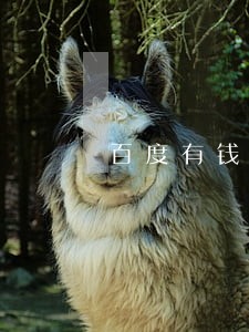 百度有钱花逾期会没有额度吗 百度有钱花逾期会没有额度吗