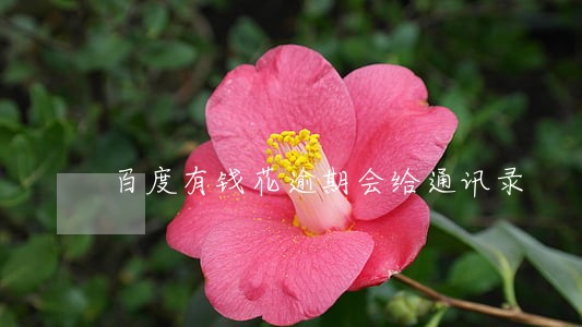 百度有钱花逾期会给通讯录 百度有钱花逾期会给通讯录