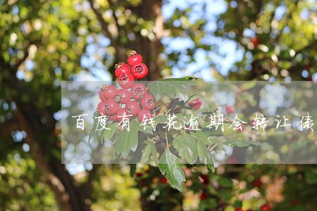 百度有钱花逾期会转让债权吗 百度有钱花逾期会转让债权吗