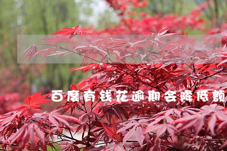 百度有钱花逾期会降低额度吗 百度有钱花逾期会降低额度吗