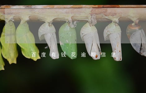 百度有钱花逾期信息 百度有钱花逾期信息