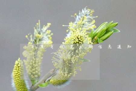 百度有钱花逾期信息通知 百度有钱花逾期信息通知