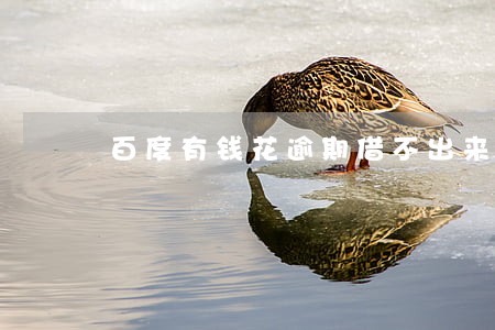 百度有钱花逾期借不出来了 百度有钱花逾期借不出来了