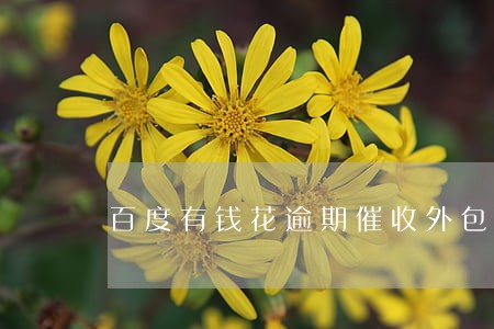 百度有钱花逾期催收外包 百度有钱花逾期催收外包
