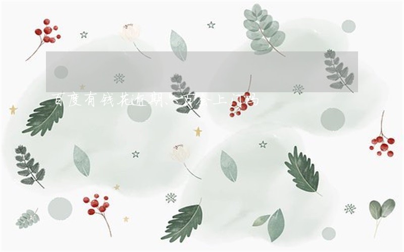 百度有钱花逾期六万会上门吗 百度有钱花逾期六万会上门吗