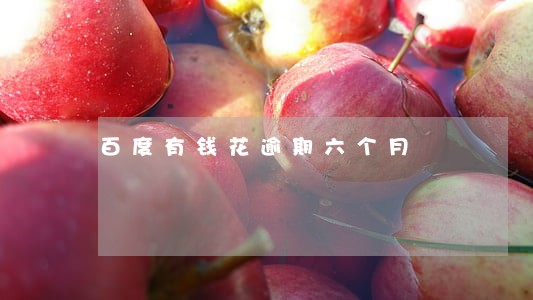 百度有钱花逾期六个月 百度有钱花逾期六个月