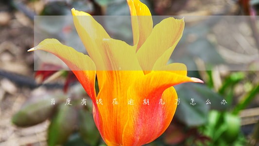 百度有钱花逾期几万怎么办 百度有钱花逾期几万怎么办