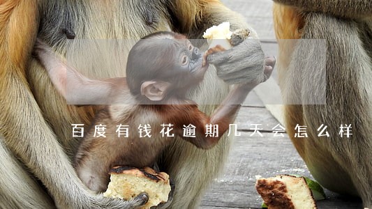 百度有钱花逾期几天会怎么样 百度有钱花逾期几天会怎么样