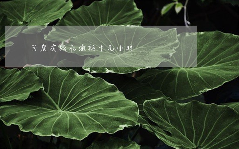 百度有钱花逾期十几小时 百度有钱花逾期十几小时