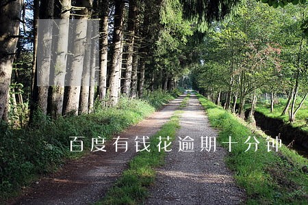 百度有钱花逾期十分钟 百度有钱花逾期十分钟