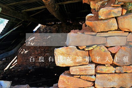 百度有钱花逾期半天上征信吗 百度有钱花逾期半天上征信吗