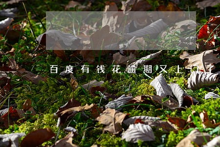 百度有钱花逾期又上门了怎么办 百度有钱花逾期又上门了怎么办