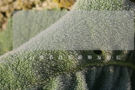 百度有钱花逾期发短信 百度有钱花逾期发短信