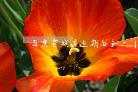 百度有钱花逾期后会上门 百度有钱花逾期后会上门