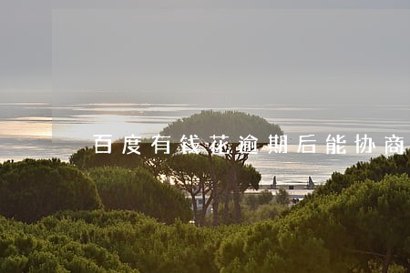 百度有钱花逾期后能协商吗 百度有钱花逾期后能协商吗