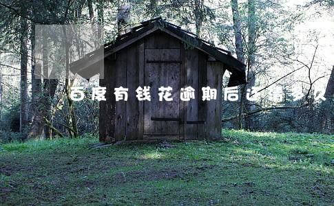 百度有钱花逾期后还清多久能借贷 百度有钱花逾期后还清多久能借贷