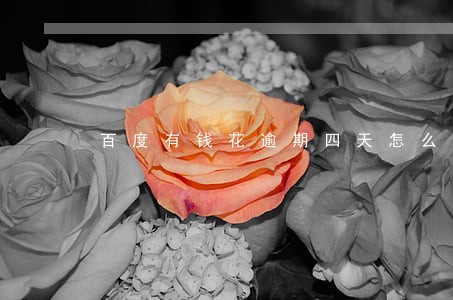 百度有钱花逾期四天怎么办 百度有钱花逾期四天怎么办
