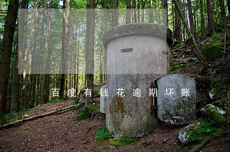 百度有钱花逾期坏账