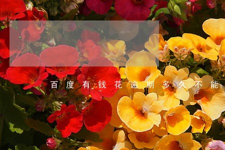 百度有钱花逾期多久不能循环