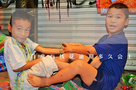 百度有钱花逾期多久会上报征信 百度有钱花逾期多久会上报征信