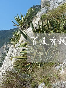 百度有钱花逾期多久会打通讯录