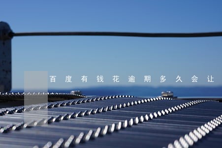 百度有钱花逾期多久会让一次结清 百度有钱花逾期多久会让一次结清