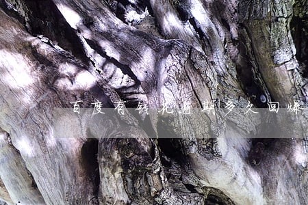 百度有钱花逾期多久回爆通讯录 百度有钱花逾期多久回爆通讯录