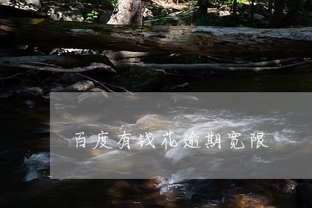 百度有钱花逾期宽限 百度有钱花逾期宽限
