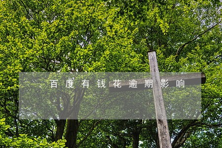 百度有钱花逾期影响 百度有钱花逾期影响