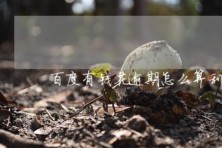 百度有钱花逾期怎么算利息
