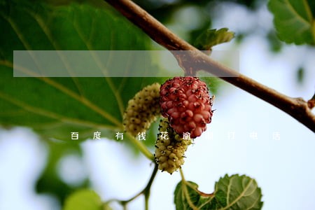 百度有钱花逾期打电话 百度有钱花逾期打电话