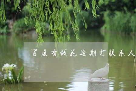 百度有钱花逾期打联系人电鼓垫 百度有钱花逾期打联系人电鼓垫