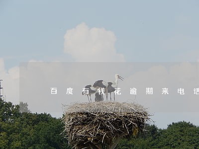 百度有钱花逾期来电话要上门核实 百度有钱花逾期来电话要上门核实