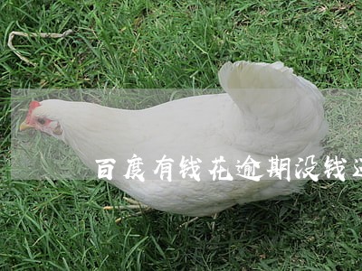 百度有钱花逾期没钱还怎么办 百度有钱花逾期没钱还怎么办