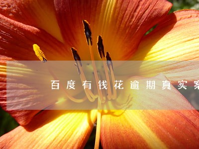 百度有钱花逾期真实案例 百度有钱花逾期真实案例