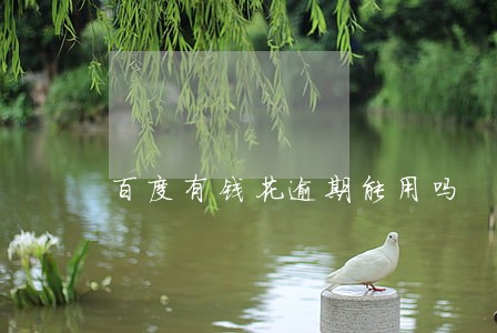 百度有钱花逾期能用吗