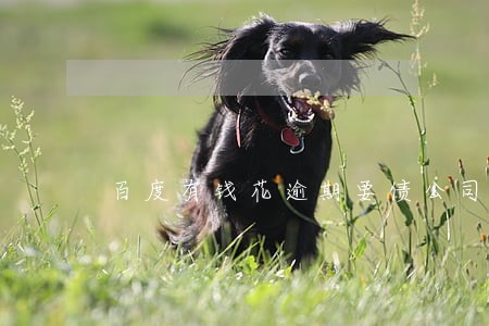 百度有钱花逾期要债公司 百度有钱花逾期要债公司