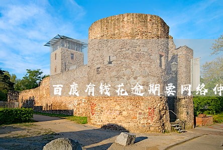 百度有钱花逾期要网络仲裁